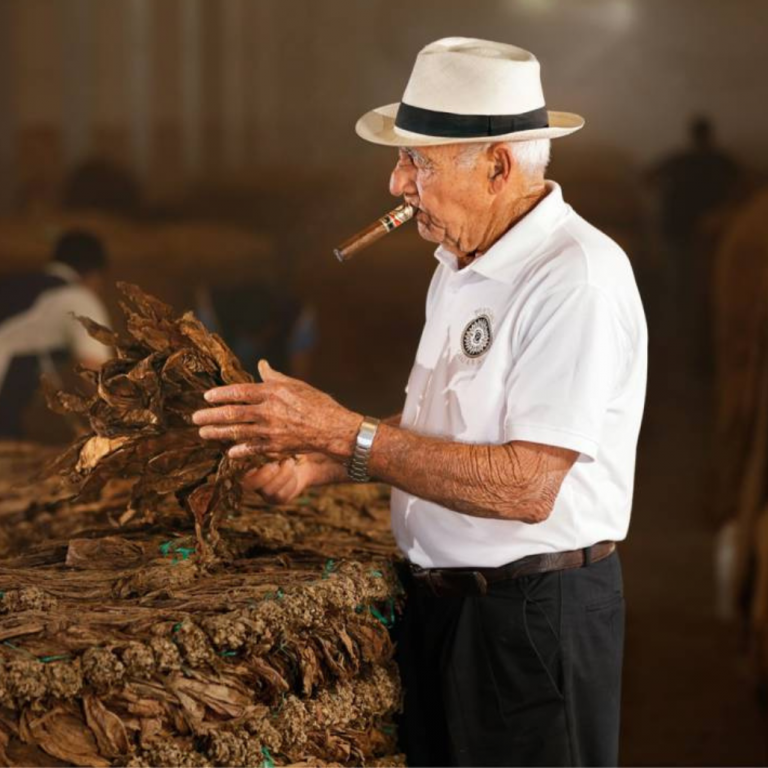 Arrivati i sigari Perdomo