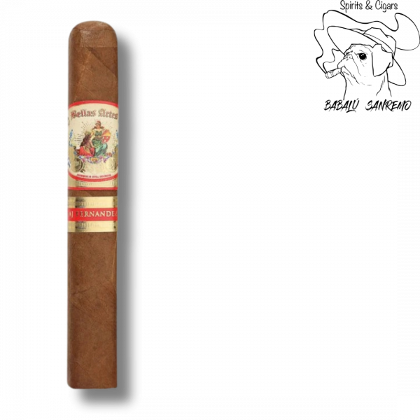 AJ Fernandez Bellas Artes Robusto Extra