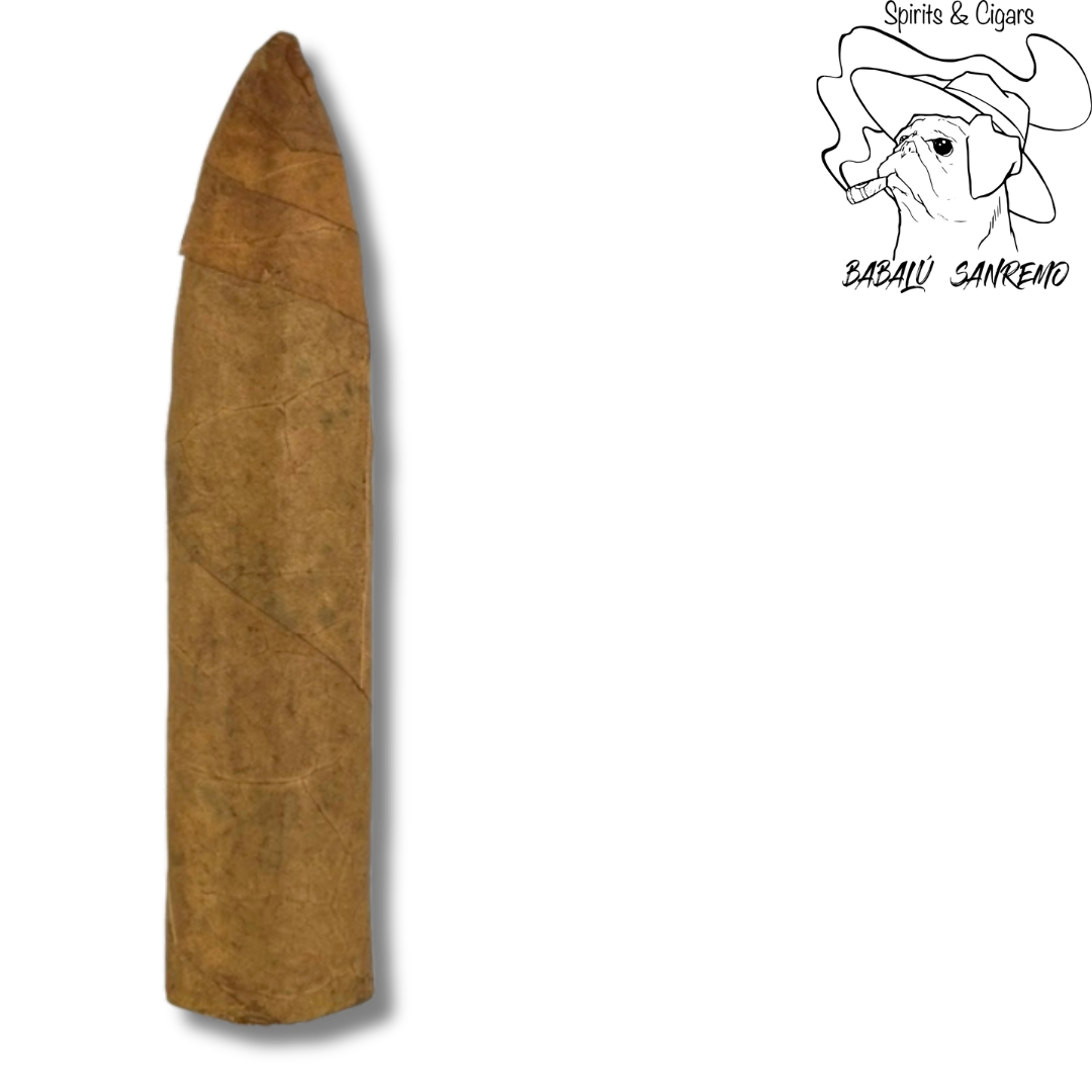 Machetero Short Torpedo