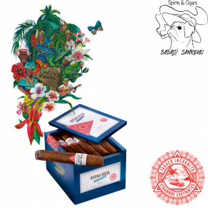 Buena Vista Incognito Robusto