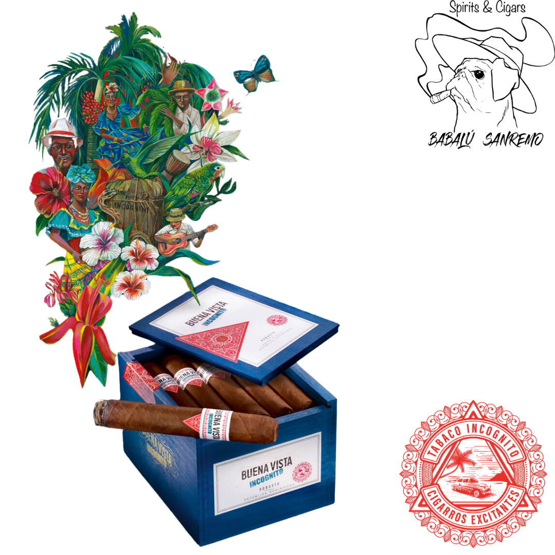 Buena Vista Incognito Robusto
